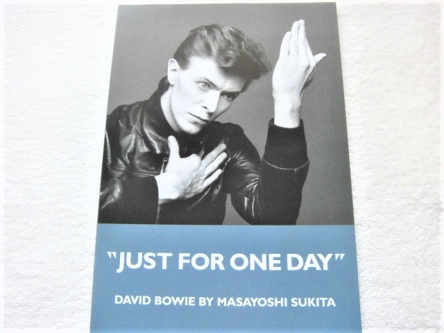 DAVID BOWIE / JUST FOR ONE DAY /. рисовое поле правильный .MASAYOSHI SUKITA фотоальбом / David bow i