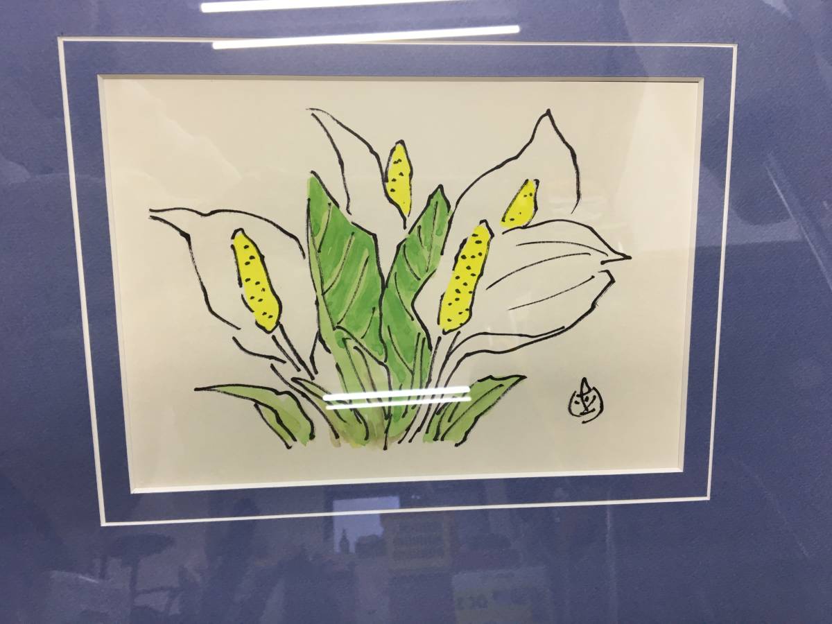 ☆坂本直行☆「 みずばしょう 」水彩画 八ツサイズ 未使用!-