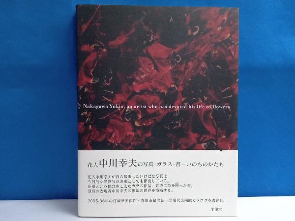 爆売り！ 魔の山 : 中川幸夫作品集 abubakarbukolasaraki.com