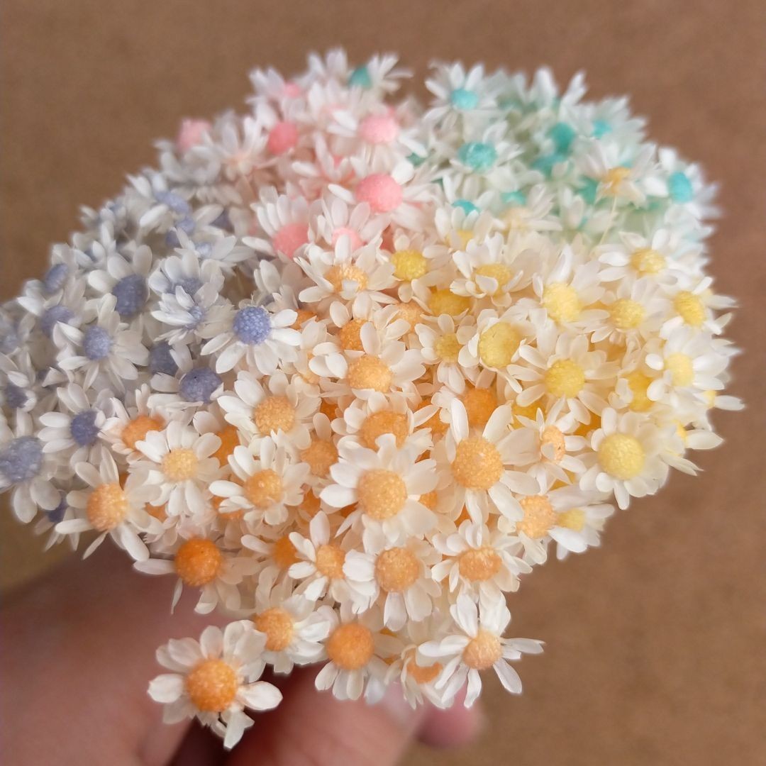 ハーバリウムボールペン　レジン アクセサリー 花材セット 気まぐれ素材　ナチュッ