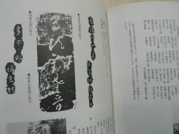 福生市石造遺物調査報告書 / 福生市教育委員会 1989年 東京都 供養塔 石仏 地蔵 五輪塔_画像3