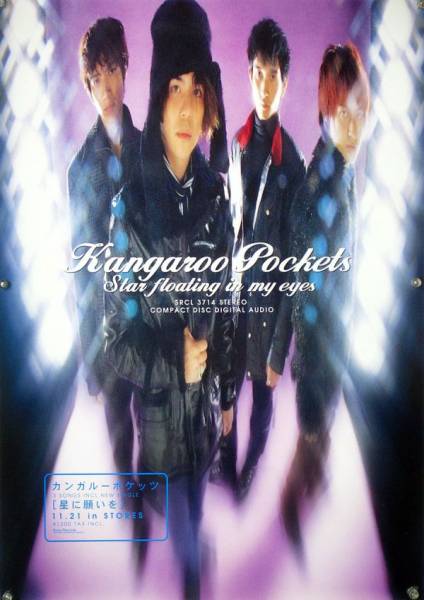  кенгуру poketsuKangaroo Pockets B2 постер (2G05002)