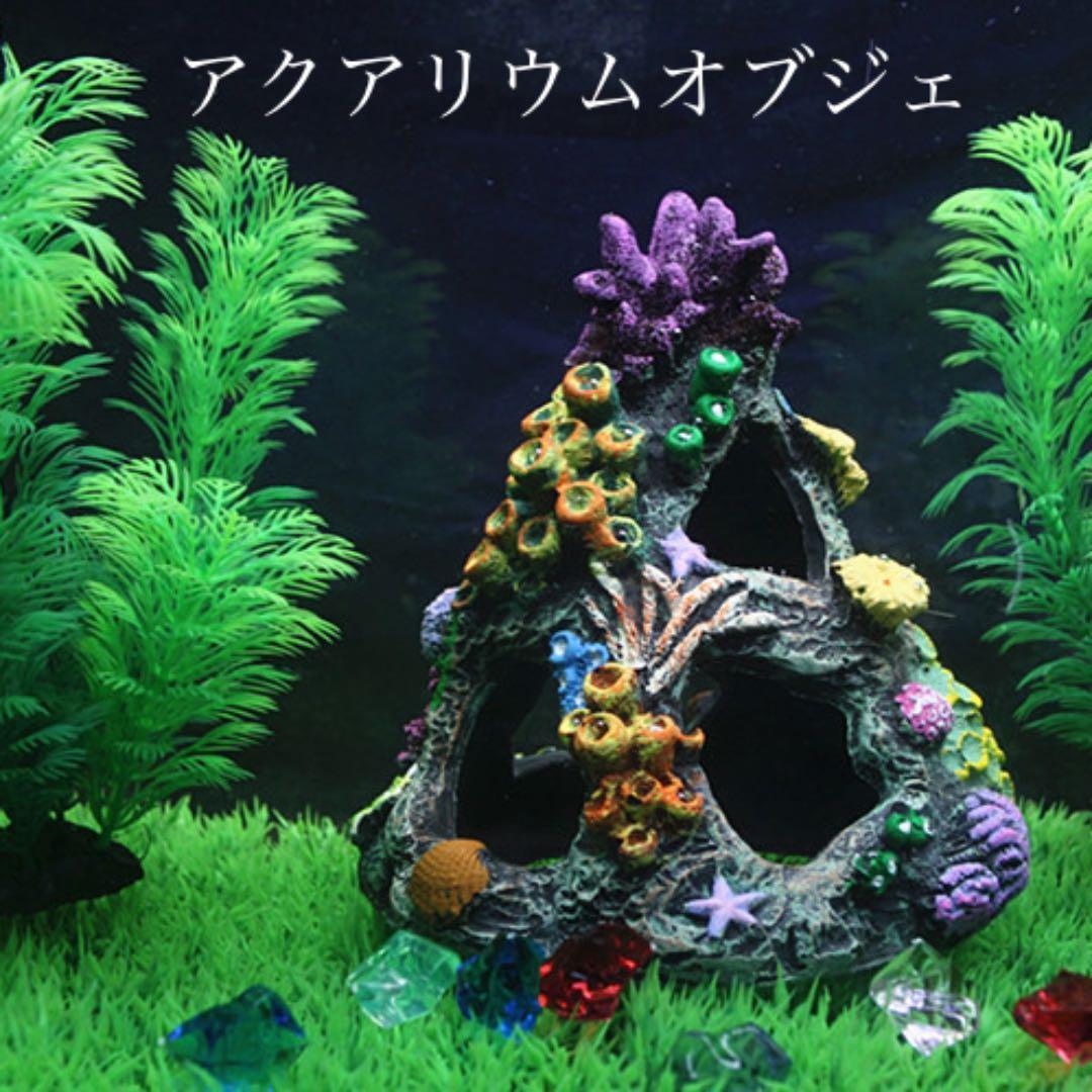 アクアリウム オブジェ 水槽レイアウト 珊瑚のモチーフで熱帯魚などの隠れ家に最適 Nvgzp Nl アクアリウム オブジェ 水槽レイアウト 珊瑚のモチーフで熱帯魚などの隠れ家に最適 Nvgzp Nl