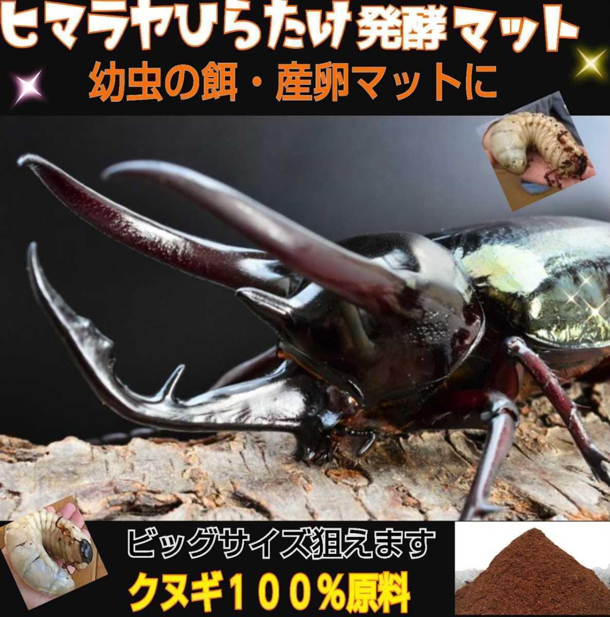 【改良版】雑虫、コバエが湧かなく使いやすい！ヒマラヤひらたけ発酵カブトムシマット☆幼虫の餌・産卵に抜群！栄養添加剤入り！20リットル_画像1