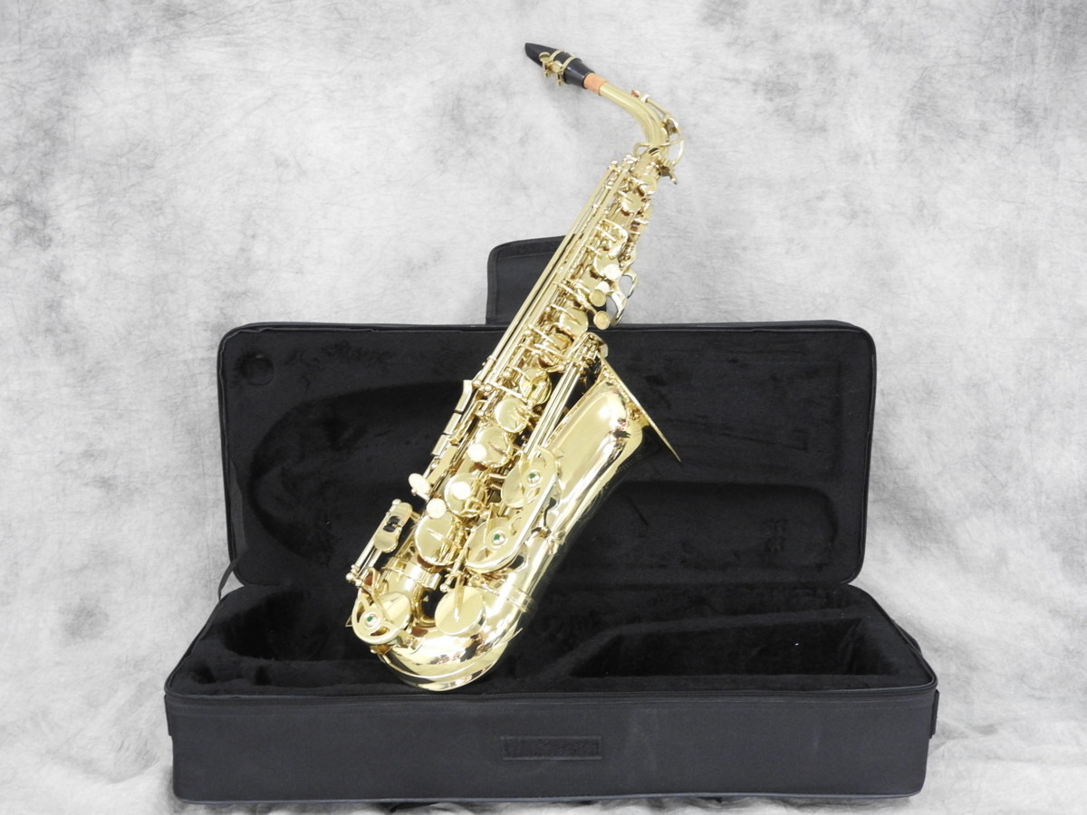 ☆ Mavis メイビス MAS-100 アルトサックス ケース付き ① www.gastech