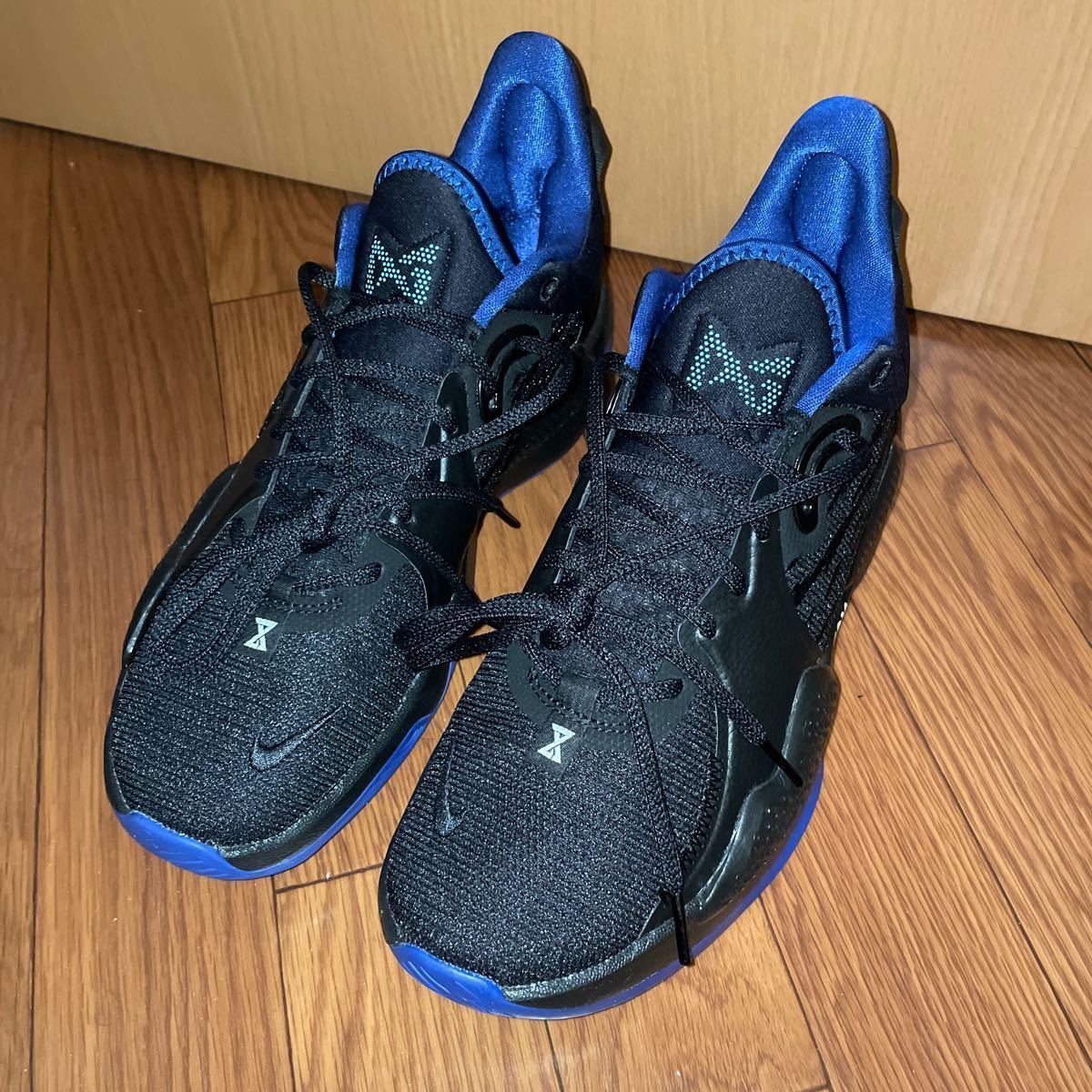 NIKE PG5 by you 28cm
