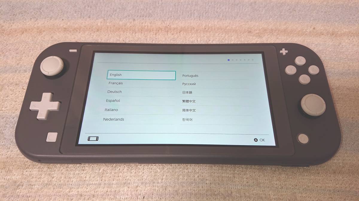 Nintendo Switch Lite 本体 グレー 状態良好 ポーチ付(任天堂