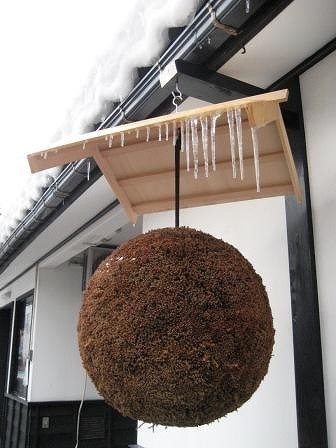 三重県スペシャルセレクション 三重県早川酒造 天慶 純米吟醸酒 吟醸酒 大吟醸 天一 純米酒 清酒 720ml×5_画像2