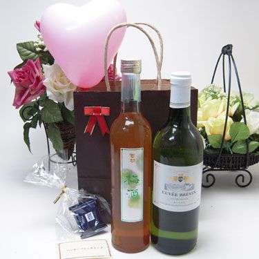  present wine is France white saying . person .kyuve* blur Van white wine ( France )750ml south height plum wine 500ml