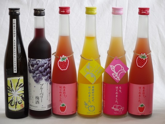 果実リキュール6本セット 紀州産 南高梅使用ブルーベリー梅酒 500ml（和歌山）・小野屋のかぼす（大分） 500ml 篠崎 あ_画像1