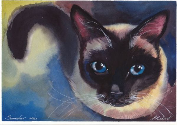 激安の イラスト原画 リーベド マリーナ シャムネコ 動物画 Www Cecop Gob Mx 激安の イラスト原画 リーベド マリーナ シャムネコ 動物画 Www Cecop Gob Mx