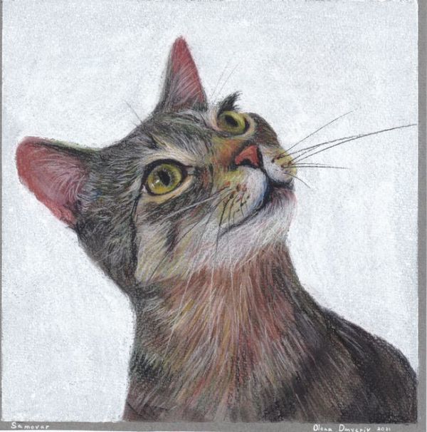 ☆イラスト原画　ドミトリー・オレナ 「見上げる猫」