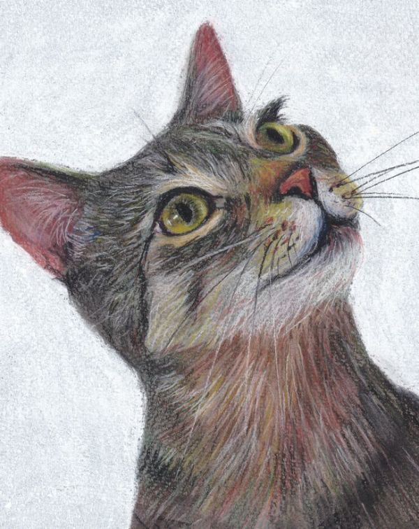 ☆イラスト原画　ドミトリー・オレナ 「見上げる猫」_画像2