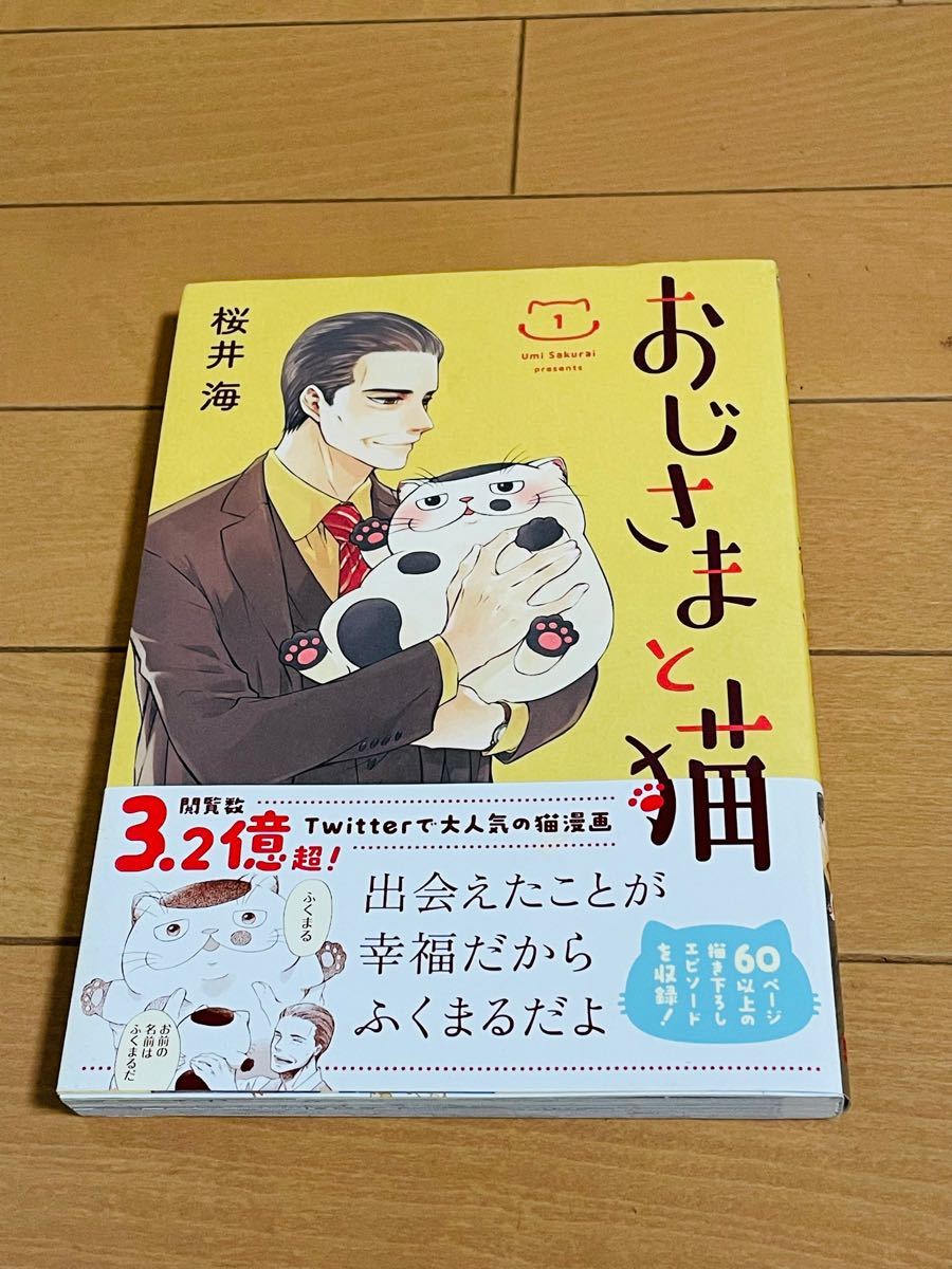 組み合わせ２冊300円！おじさまと猫 1/桜井海