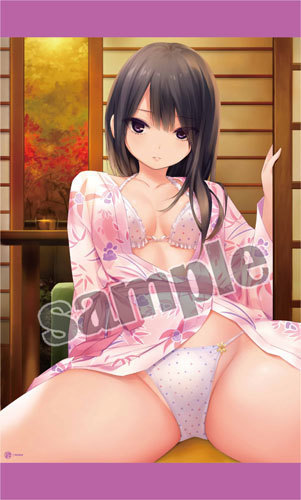 完璧主義 軸中心派 珈琲貴族 冬の受注&限定商品祭り ぬくもりごこち WスエードB1タペストリー ちょっとえっちなオトナの 第二弾 タペストリー