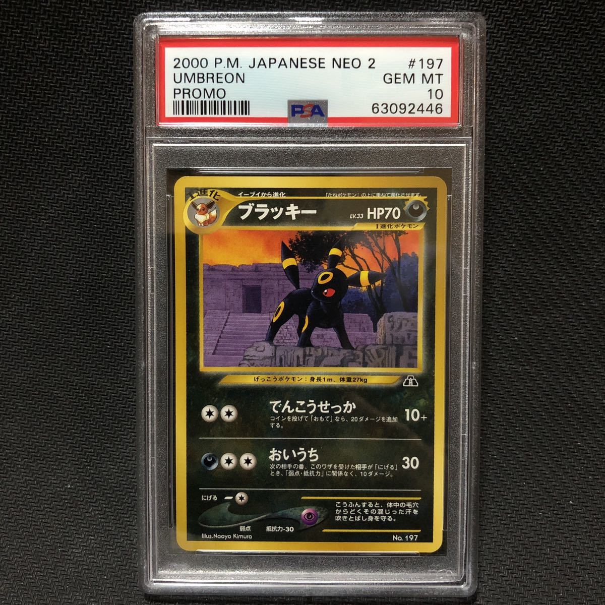 PSA10 ブラッキー 旧裏 プレミアムファイル2 ポケモンカード pokemon