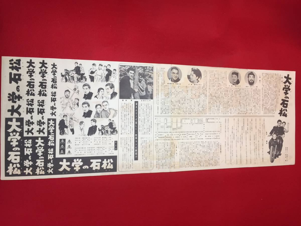 cb12243『大学の石松』spポスター/プレス 高倉健 宇佐美諄 高木二朗