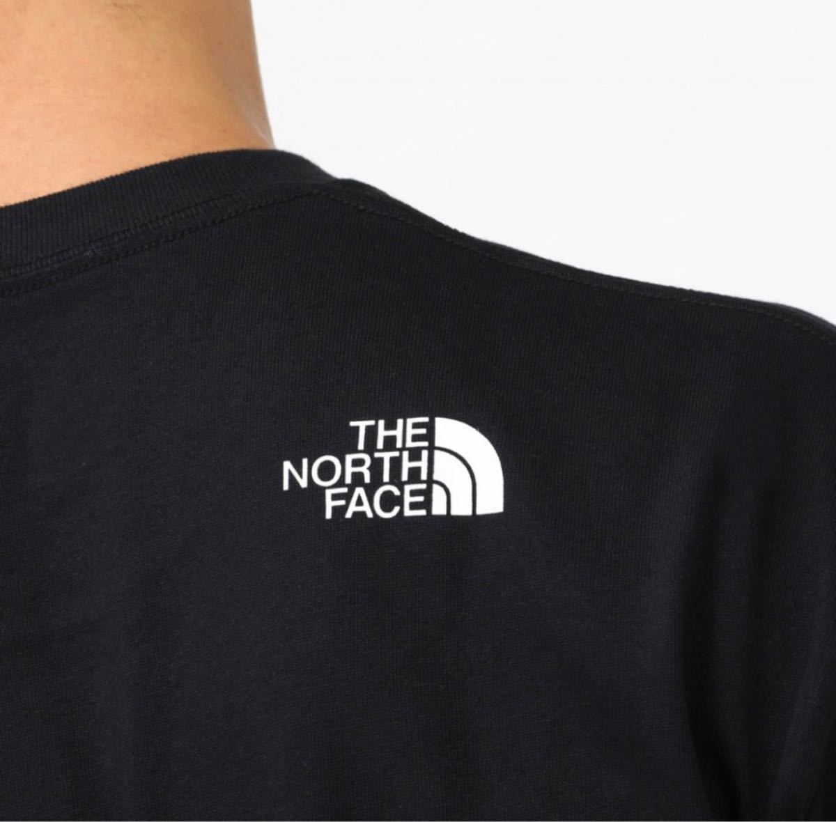 ザ・ノースフェイス 長袖Tシャツ THE NORTH FACE×アルペン コラボ Tシャツ メンズ NT32101AP 黒 M