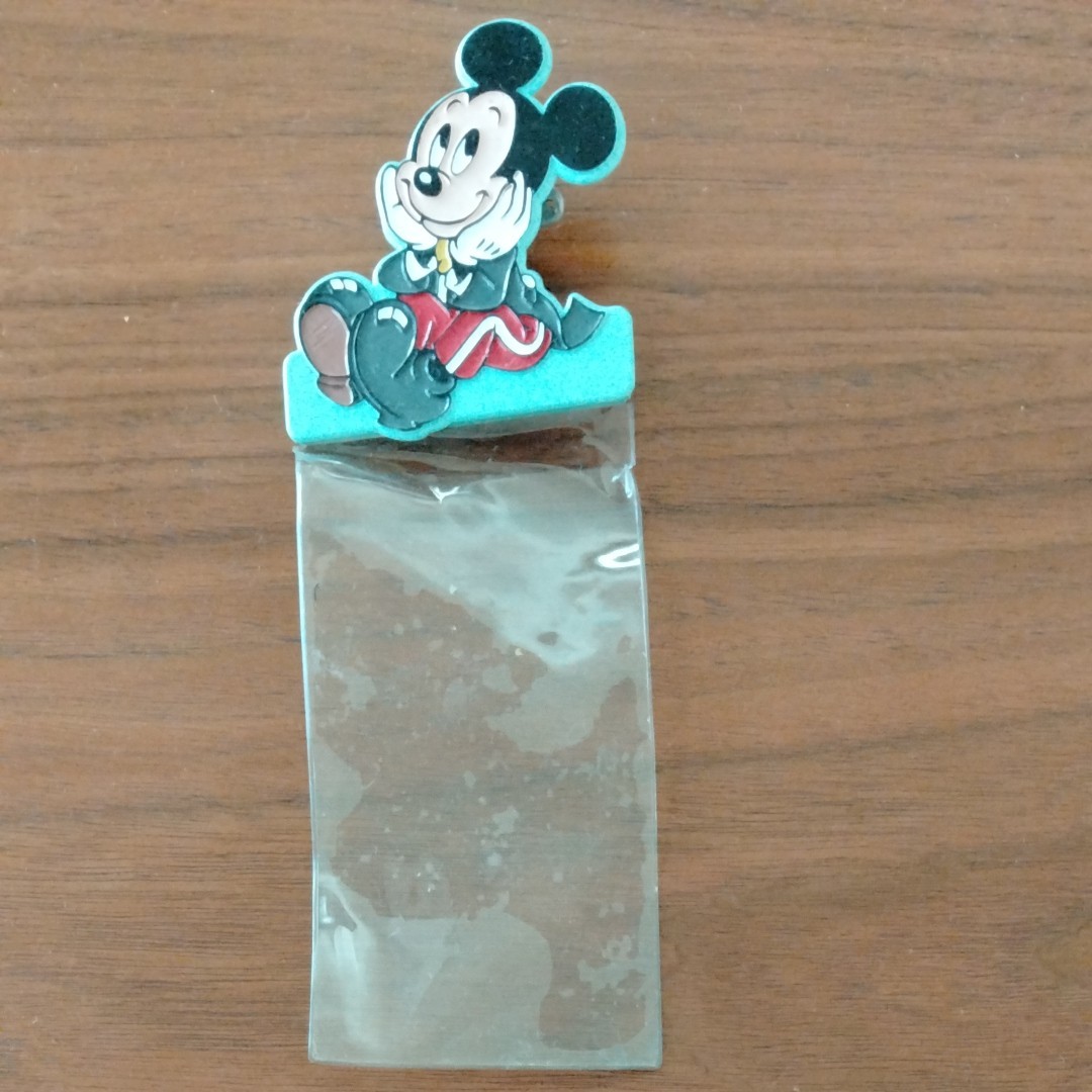 Paypayフリマ 東京ディズニーリゾート パスポートホルダー Paypayフリマ 東京ディズニーリゾート パスポートホルダー