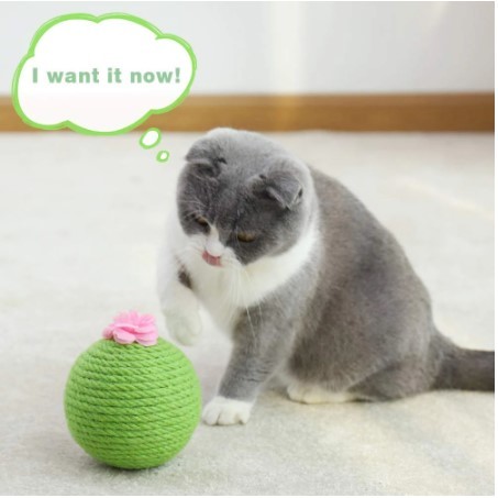 インタラクティブなサボテンの猫の圧力計,天然サイザル麻のおもちゃ,スクレーパー,屋内での遊び,運動_画像3