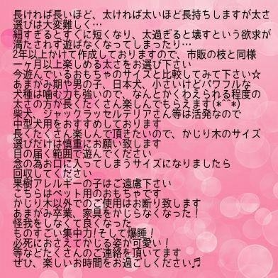 403.犬のおもちゃ犬用、かじり木梨の木、あまがみ対策、歯固め、小型犬向き