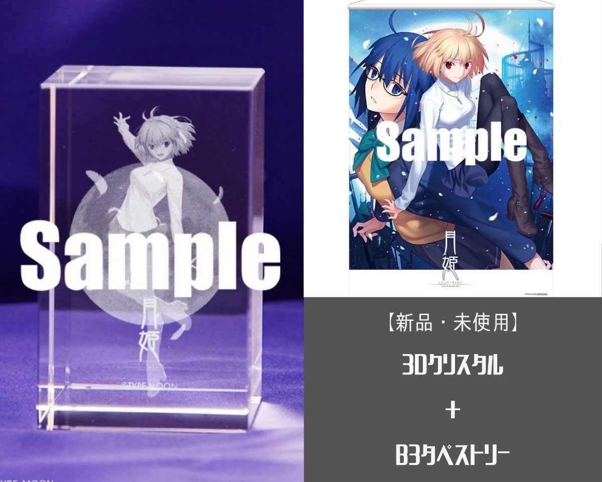 仮)さん専用(月姫メルブラセット) テレビゲーム 販売しています