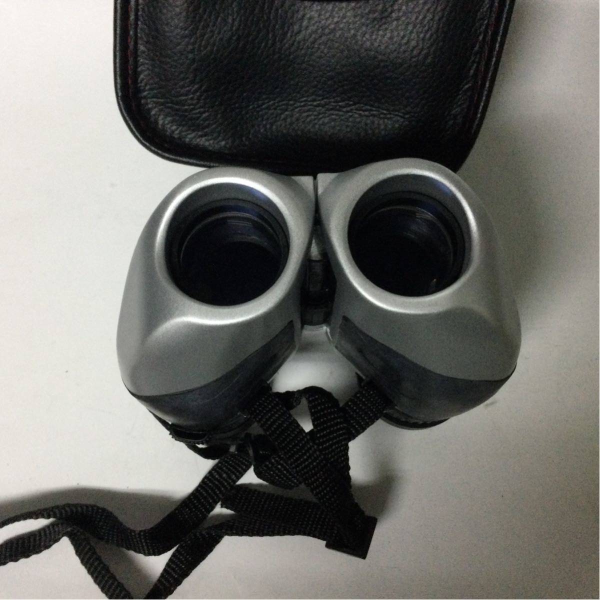 NASHICA 双眼鏡 ZOOM 10-30×25-MF 箱付き 動作品 ナシカ