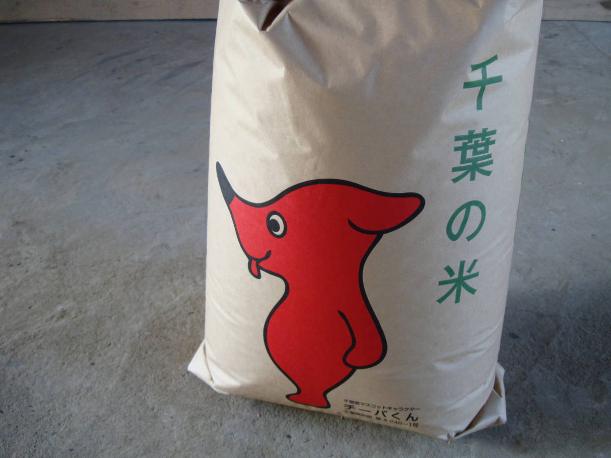 令和3年度-コシヒカリ　農家直送　新米25kg玄米　混ざりなし_袋は、30kgですので、違う袋になります