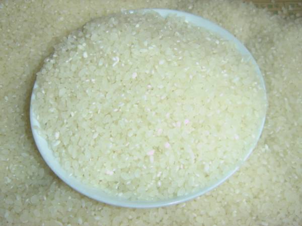 令和3年度-コシヒカリ　農家直送　新米25kg玄米　混ざりなし_画像2