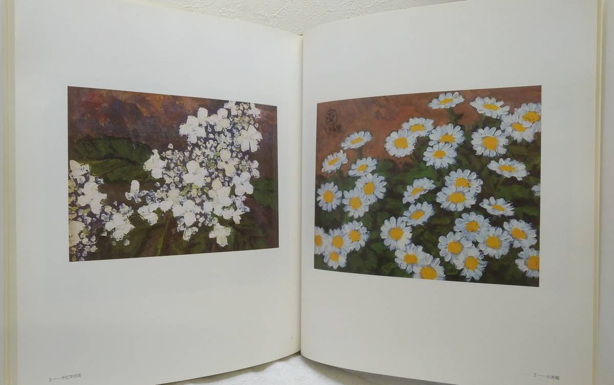 Yahoo!オークション - ア 坂本直行作品集 京都書院 画集 北海道 Yahoo!オークション - ア 坂本直行作品集 京都書院 画集 北海道