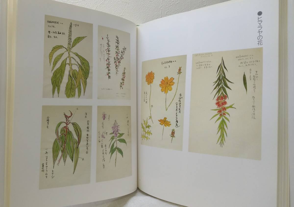 Yahoo!オークション - ア 坂本直行作品集 京都書院 画集 北海道 Yahoo!オークション - ア 坂本直行作品集 京都書院 画集 北海道