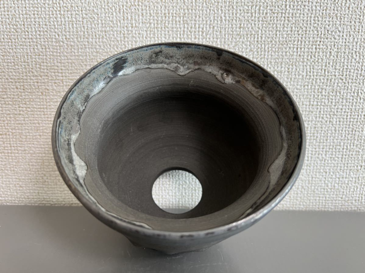 鶴仙園 Ryuhoou plantpot kokufuji 鉢 検)konect botanize raw life