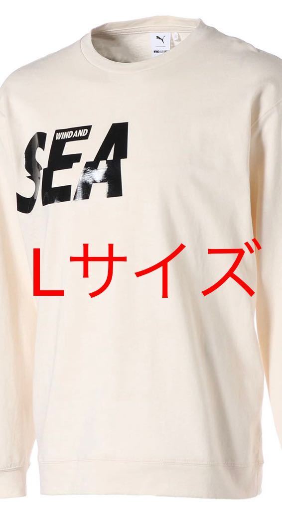 品質極上 新品　wind and コラボ　Tシャツ　完売 thrasher sea Tシャツ/カットソー(半袖/袖なし)