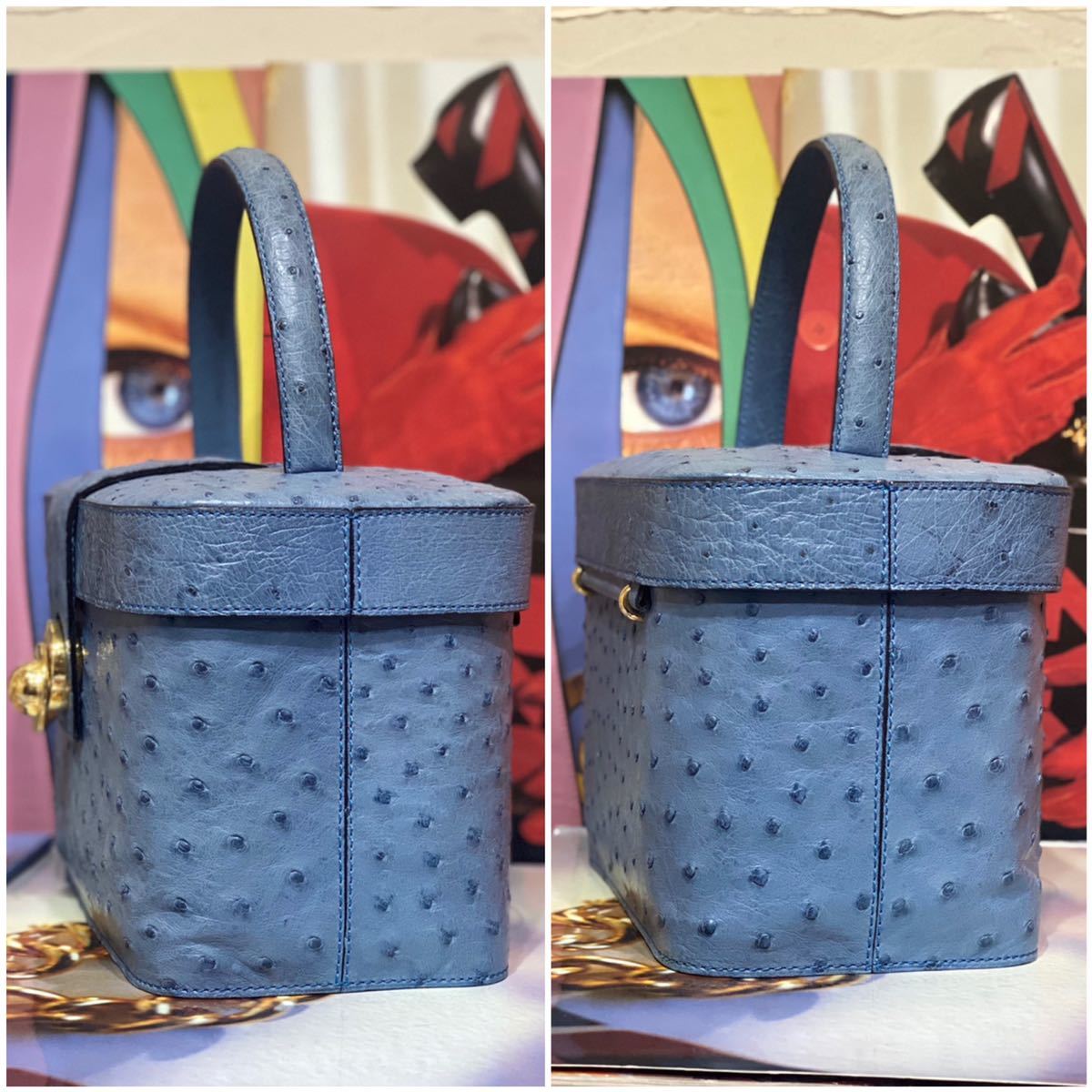 激レア 希少 VINTAGE OLD CELINE オーストリッチレザー バニティバッグ