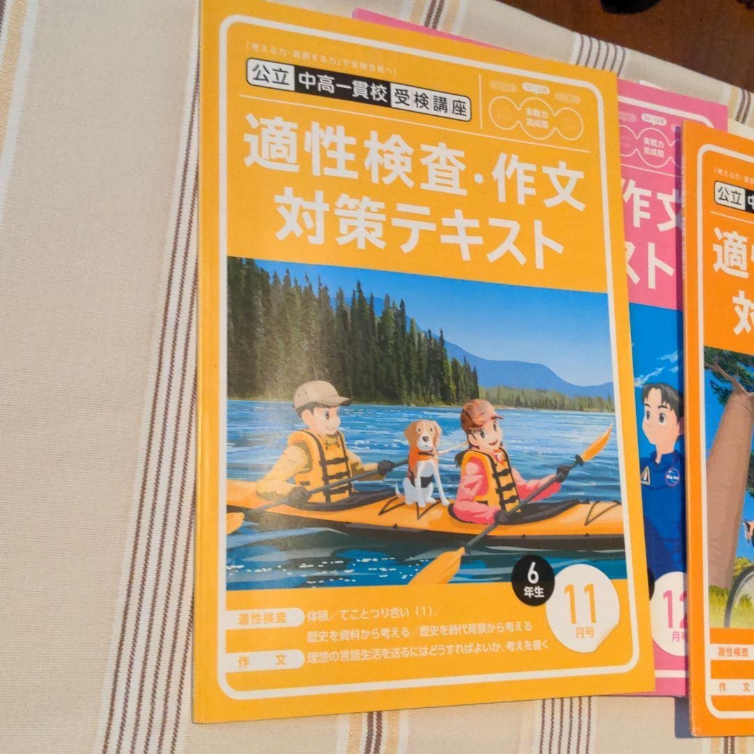 6年生　考える力プラス講座　公立中高一貫校受検講座　進研ゼミ　ベネッセ　未使用テキストとリハーサルテスト　　　※テキストのみ※