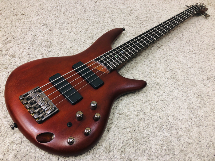 格安即決 IBANEZ ボタニカル アイバニーズ 5弦ベースIbanez