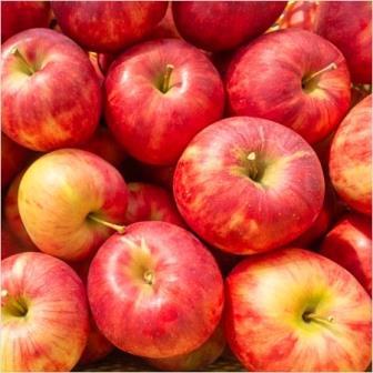 ジャム（手作りジャム）　　ゴロゴロりんごジャム　２００ｇ　　低糖度、保存料なし 　_画像3