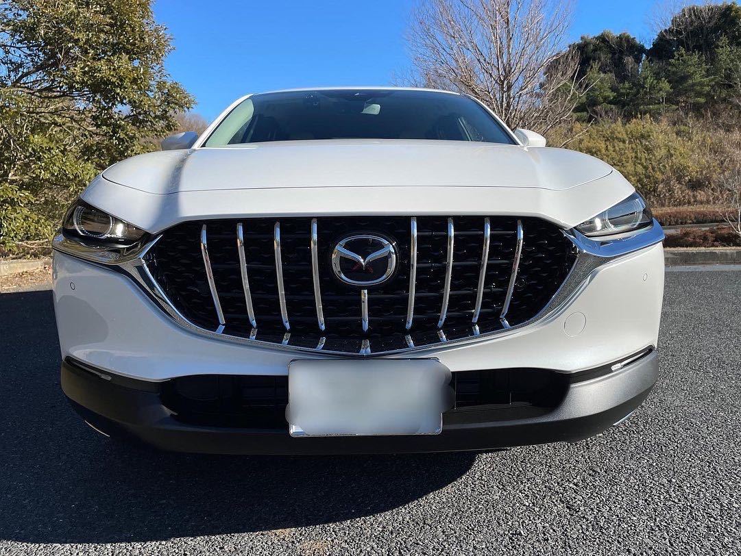 MAZDA CX-30 バーチカルグリル 手作り品 取付簡単