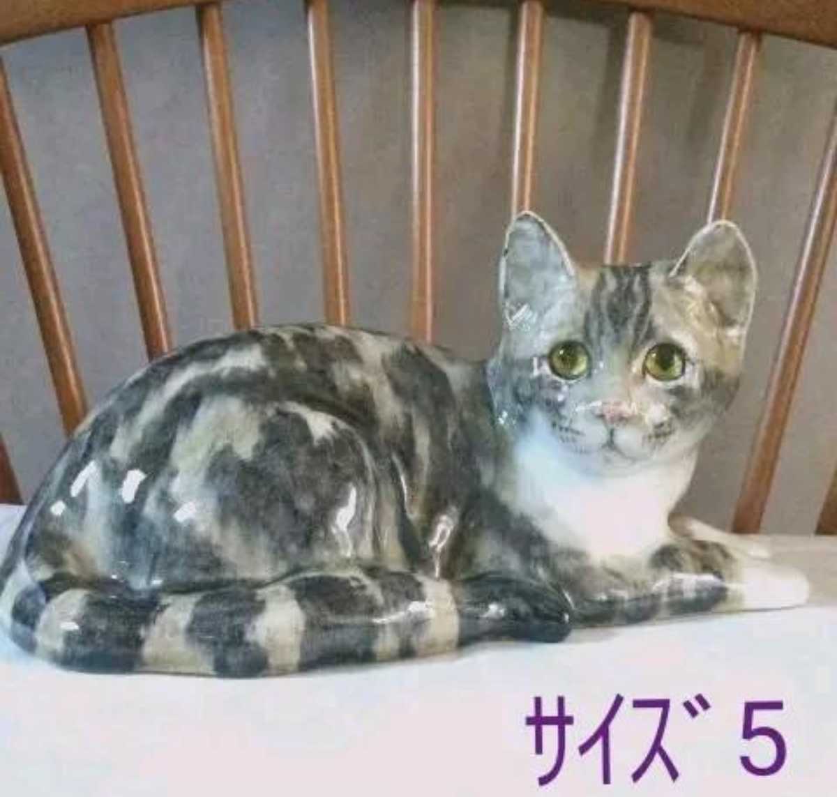大きなウィンスタンレイキャット(ケンジントン)サイズ「5」の成猫