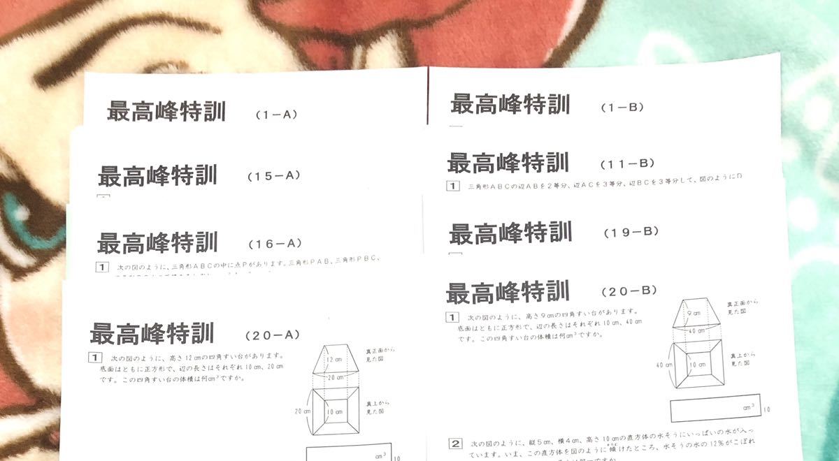 希少 原本 書込み消し』サピックス SAPIX 小6年/6年 算数最 希少 原本 書込み消し』サピックス SAPIX 小6年/6年 算数最