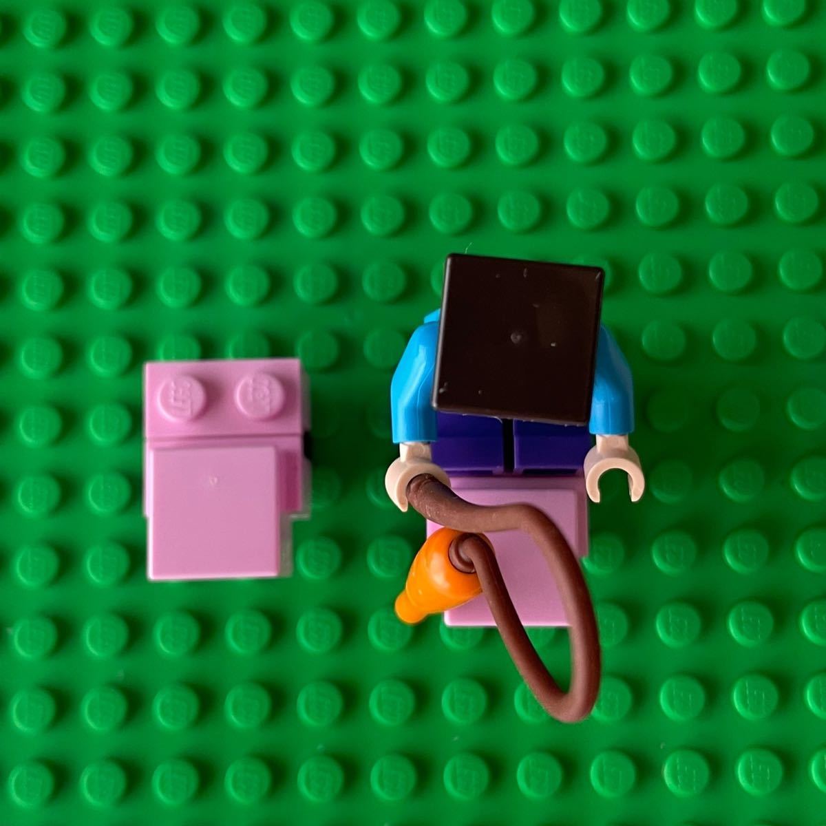 LEGOレゴマインクラフト スティーブ 竿 にんじん ブタ 仔ブタ  ミニフィギュア ミニフィグ フィグ レゴ
