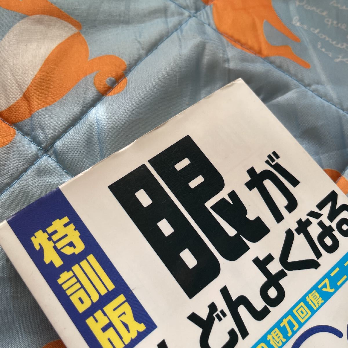 眼がどんどんよくなる : ペパード博士の視力回復マニュアル オール新図解 特訓版