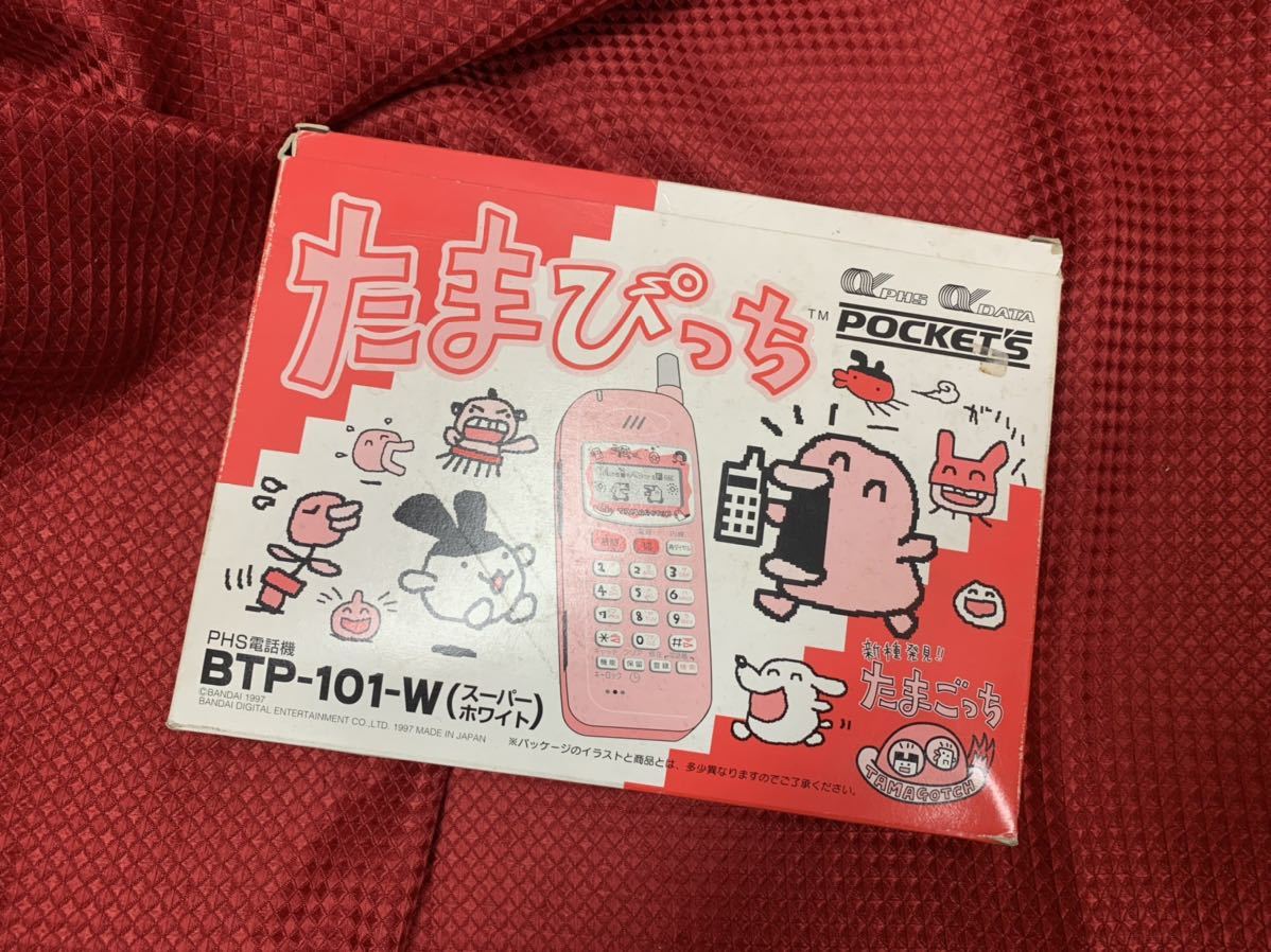 日比野友香 先生との日々 Nutspoker Sknフラッシュ8 のけぞり スクール水着 ノアスマイル 現場チェキ 直筆サイン入り 関ガール 高品質新品 直筆サイン入り 日比野友香 先生との日々 Nutspoker Sknフラッシュ8 のけぞり スクール水着 ノアスマイル 現場チェキ 直筆サイン入り 関ガール 高品質新品 直筆サイン入り