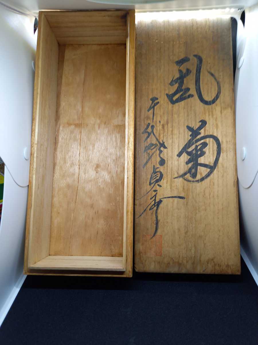 サイズ交換OK】 鉋 千代鶴 2寸乱菊 tyroleadership.com