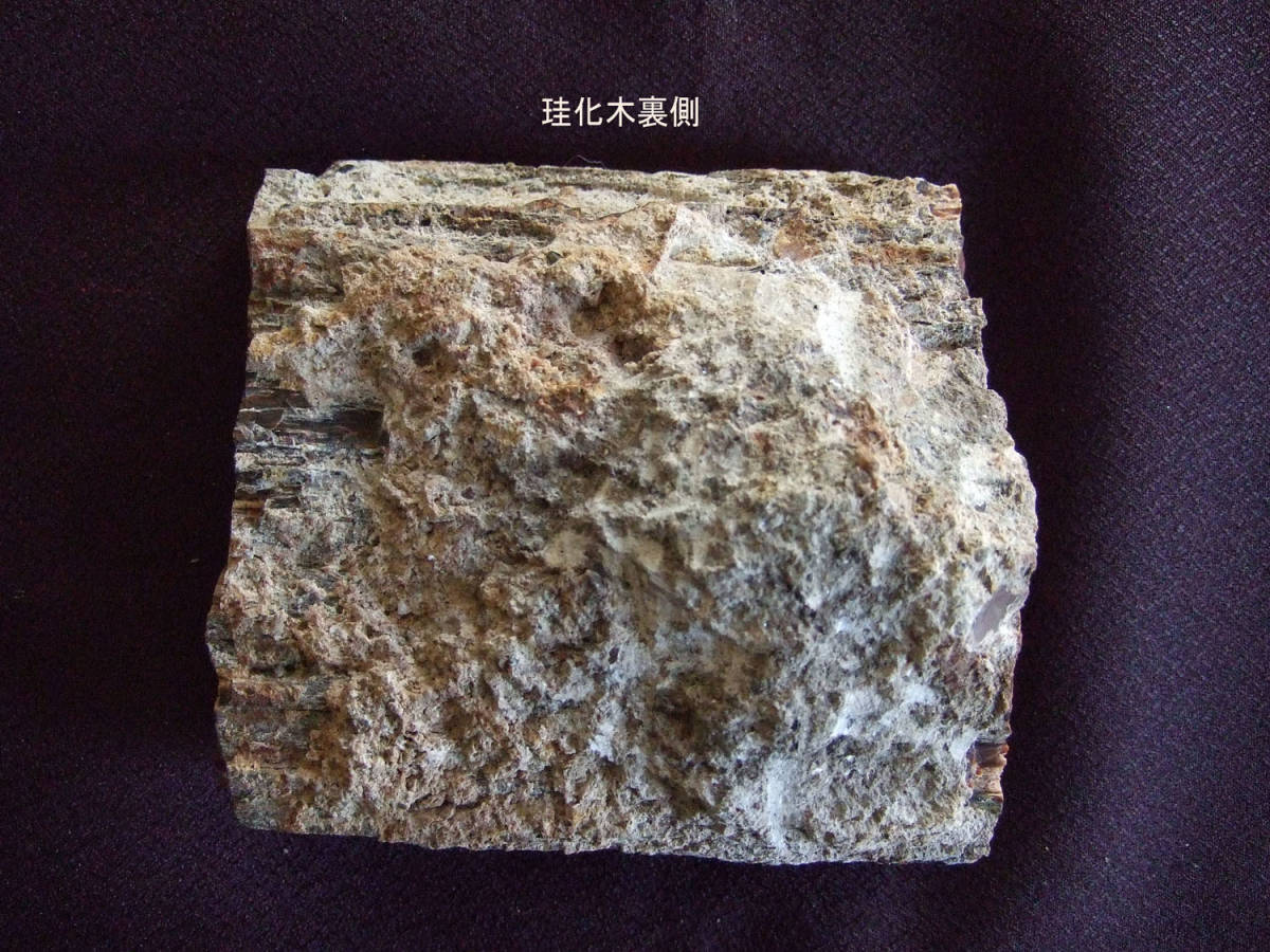珪化木 木化石(化石)｜売買されたオークション情報、yahooの商品情報を 