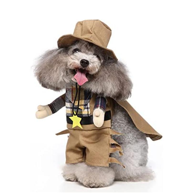犬 猫　カウボーイ 犬用コスチューム ペット用コスプレ 目立つ犬用服 パーティや散歩に 可愛らしいペット用衣装 ウエスタンカウボーイ