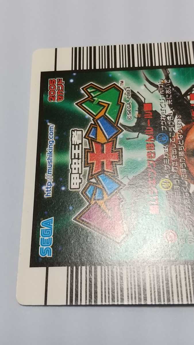 美品 2005年セカンド アダー マンディブラリスフタマタクワガタ 美品 2005年セカンド アダー マンディブラリスフタマタクワガタ
