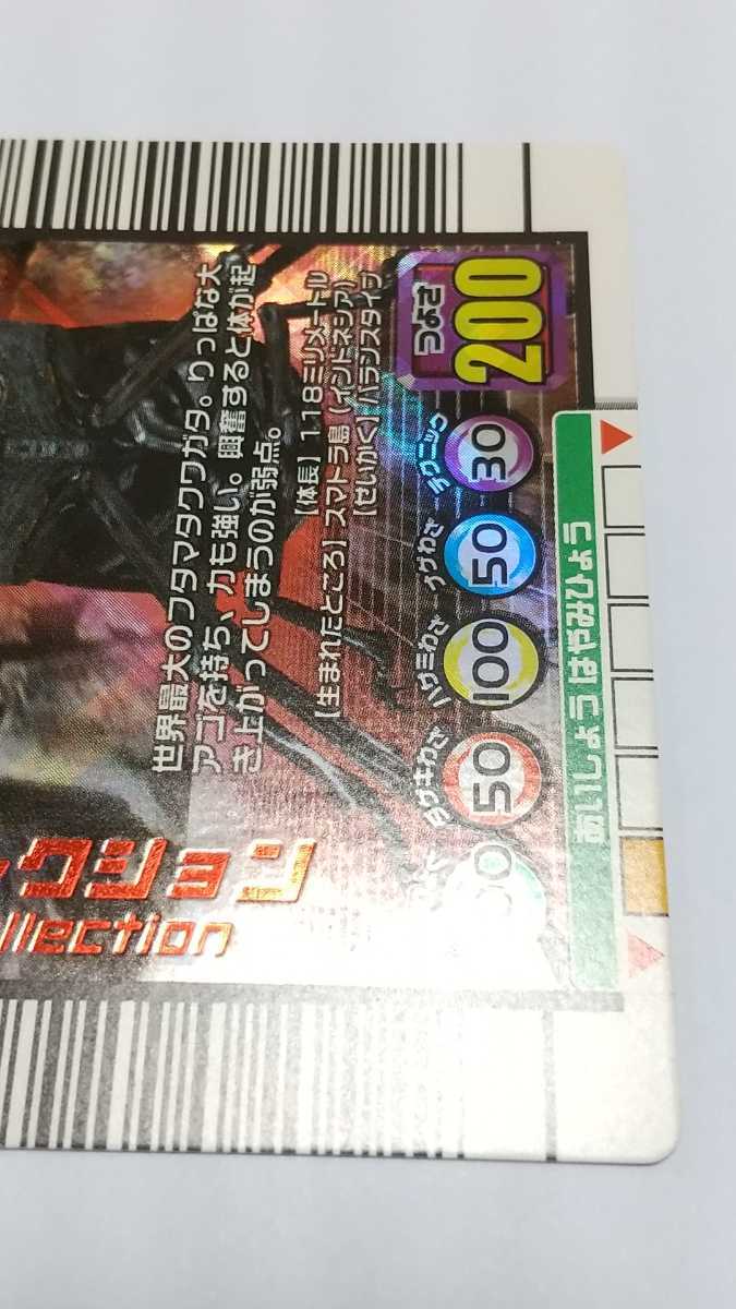 美品 2005年セカンド アダー マンディブラリスフタマタクワガタ 美品 2005年セカンド アダー マンディブラリスフタマタクワガタ