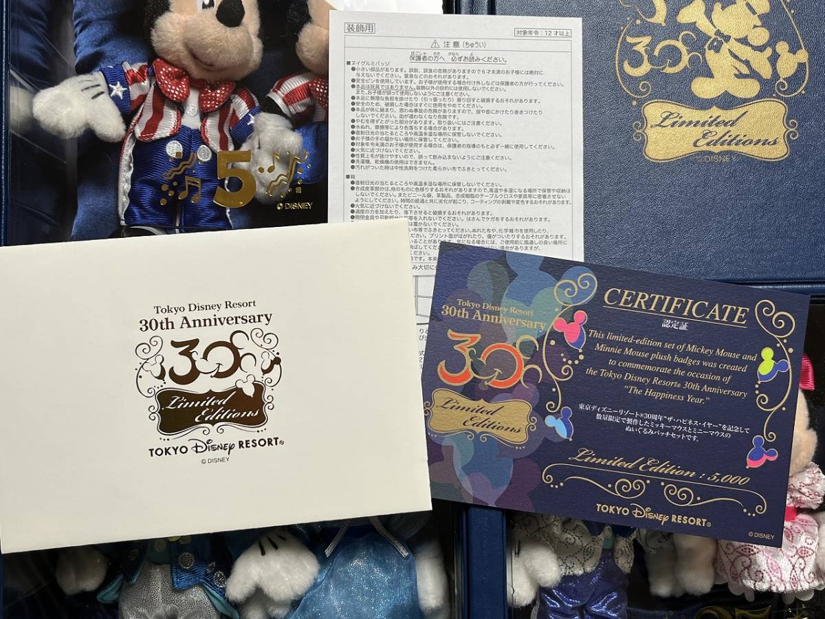 TDR ディズニー 30周年記念 ミッキー＆ミニー ぬいぐるみバッジセット 
