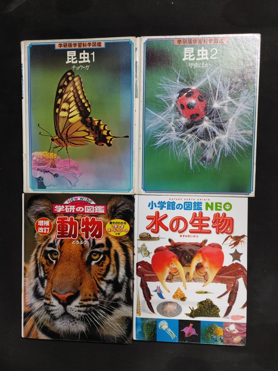 図鑑　4冊セット　学研　小学館　ニューワイド動物　ネオ水の生物　学習科学図鑑　昆虫1 昆虫2